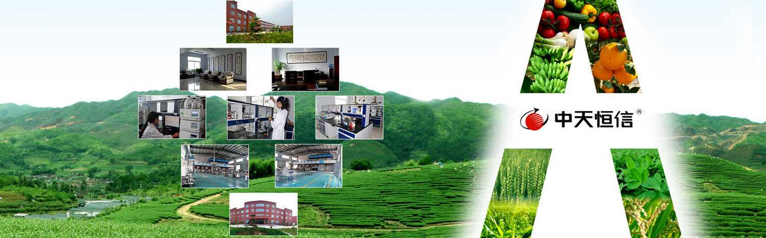 Henan Zhongtian Hengxin Biotechnology Co. Ltd.